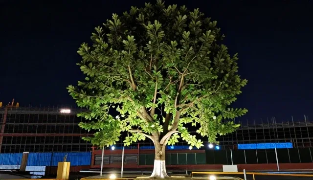 渠道供货等常见问题及处理方向