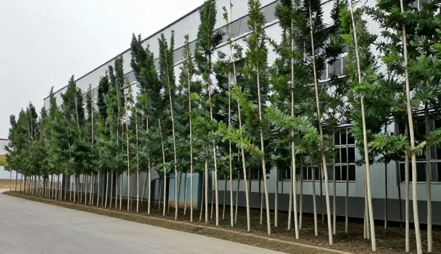 节点可查产品在渠道供货中的适用条件与限制