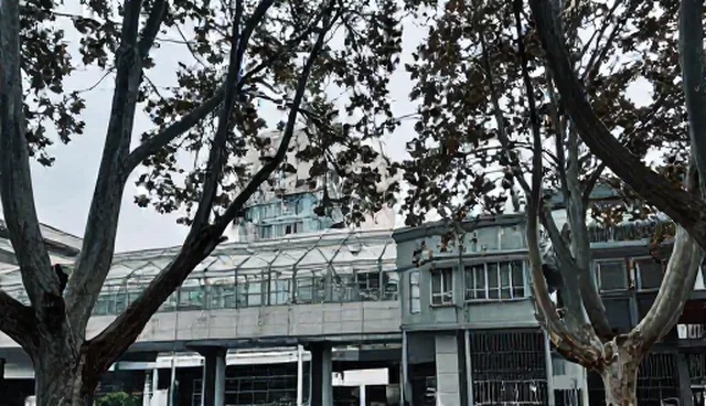 环境控制中苗木渠道供货的检查要点分析